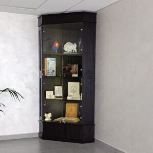 ШКАФ-ВИТРИНА С ПОДСВЕТКОЙ CH-19/2